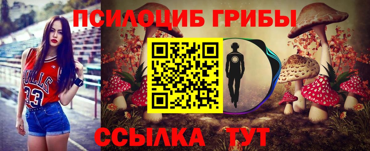Псилоцибиновые грибы Psilocybine cubensis Артём