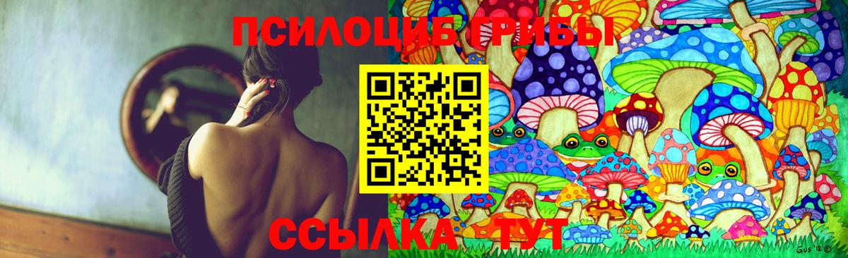 Псилоцибиновые грибы Cubensis  Вход с VPN  Артём  Псилоцибиновые грибы GOLDEN TEACHER 